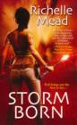 Image for Storm Born