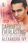 Image for Darkness everlasting