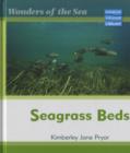Image for Wonders of the Sea Seagrass Beds Macmillan Library