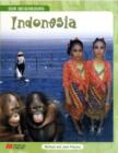 Image for Our Neighbours Indonesia Macmillan Library