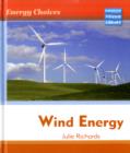 Image for Energy Choices Wind Energy Macmillan Library