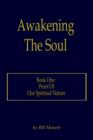 Image for Awakening The Soul