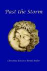Image for Past the Storm