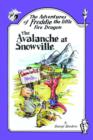 Image for The Adventures of Freddie the Little Fire Dragon : The Avalanche At Snowville