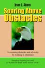 Image for Soaring Above Obstacles