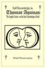 Image for Self Knowledge in Thomas Aquinas : The Angelic Doctor on the Soul&#39;s Knowledge of Itself