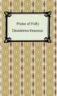 Image for Praise of Folly.