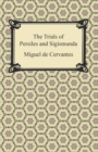 Image for Trials of Persiles and Sigismunda