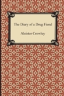 Image for The Diary of a Drug Fiend
