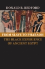 Image for From slave to pharaoh: the black experience of ancient Egypt