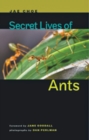 Image for Secret Lives of Ants