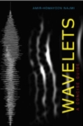 Image for Wavelets