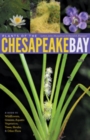 Image for Plants of the Chesapeake Bay  : a guide to wildflowers, grasses, aquatic vegetation, trees, shrubs, and other flora