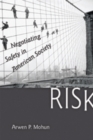 Image for Risk  : negotiating safety in American society
