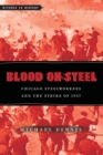 Image for Blood on steel  : Chicago steelworkers and the strike of 1937