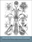 Image for Atlas of Crustacean Larvae