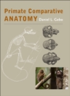 Image for Primate comparative anatomy