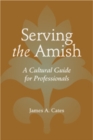 Image for Serving the Amish