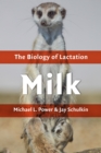 Image for Milk: The Biology of Lactation