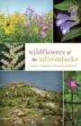 Image for Wildflowers of the Adirondacks