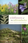 Image for Wildflowers of the Adirondacks