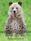 Image for Bears of the north  : a year inside their worlds