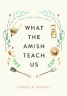 Image for What the Amish teach us: plain living in a busy world