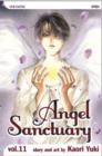 Image for Angel sanctuaryVol. 11