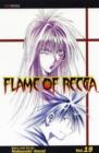Image for Flame of Recca, Vol. 19
