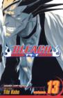 Image for Bleach, Vol. 13