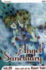 Image for Angel sanctuaryVol. 20