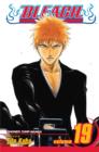 Image for Bleach, Vol. 19