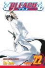 Image for Bleach, Vol. 22