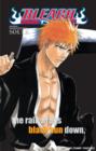 Image for Bleach Souls official character book