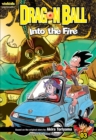 Image for Dragon Ball: Chapter Book, Vol. 3 : Into the Fire