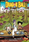 Image for Dragon Ball: Chapter Book, Vol. 4