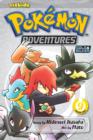 Image for Pokemon Adventures (Gold and Silver), Vol. 9