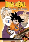 Image for Dragon Ball: Chapter Book, Vol. 10