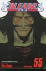 Image for Bleach, Vol. 55