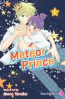 Image for Meteor prince 1