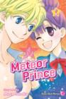 Image for Meteor prince 2