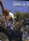 Image for Goats in Trees 2011