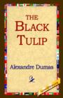 Image for The Black Tulip