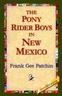 Image for The Pony Rider Boys in New Mexico