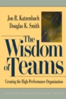 Image for The wisdom of teams: creating the high-performance organization