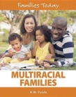 Image for Multiracial families