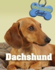 Image for Dachshund