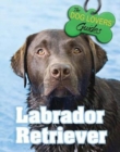 Image for Labrador Retriever