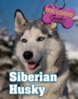 Image for Siberian Husky