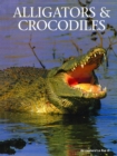 Image for Alligators &amp; crocodiles